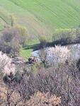 IMG-20250412-WA0009