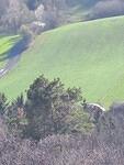IMG-20250412-WA0010